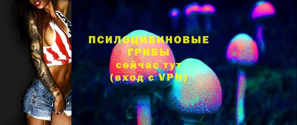 соль курить ск Инсар