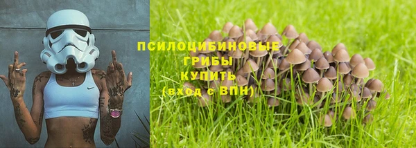 спиды Иннополис