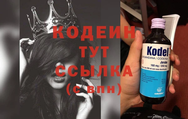спиды Иннополис