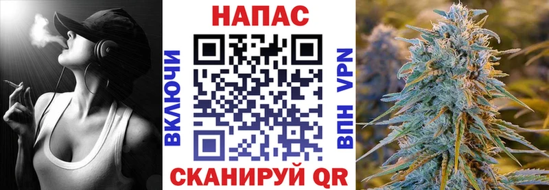 Купить где  Баксан  Бошки марихуана SATIVA & INDICA 